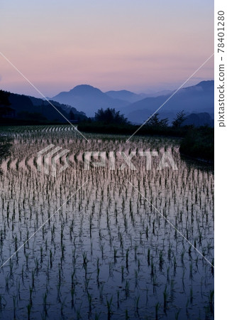 Rice terraces of Uda Yasuda 78401280