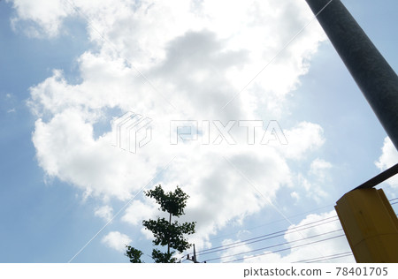 Clouds in the sky, trees and electric poles Clouds in the sky, trees and electric poles 78401705