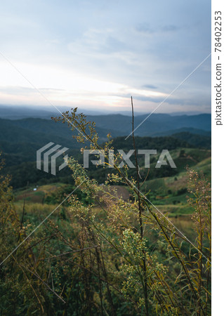 village in the mountains in asia 78402253