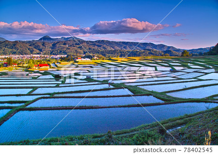 黃昏的梯田（山形縣朝日町） 78402545