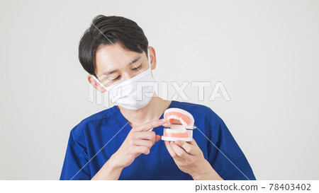 牙科保健員/牙醫 78403402