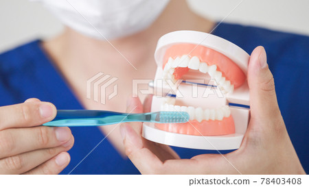 Dental hygienist / dentist Dental hygienist / dentist 78403408