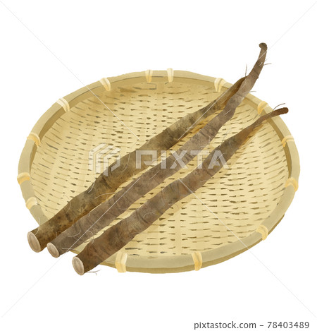 Watercolor touch burdock with mud on a bamboo colander 78403489