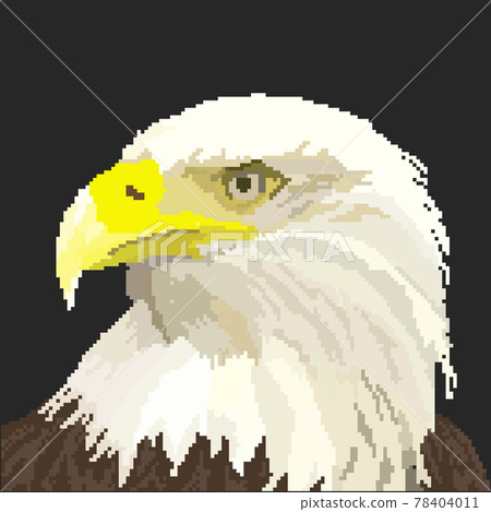 像素風格的老鷹頭部特寫 像素風格的老鷹頭部特寫 78404011