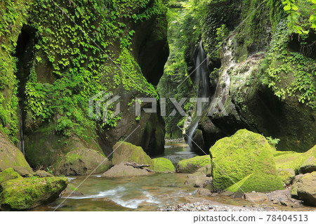 Yufugawa Valley of fresh green 78404513