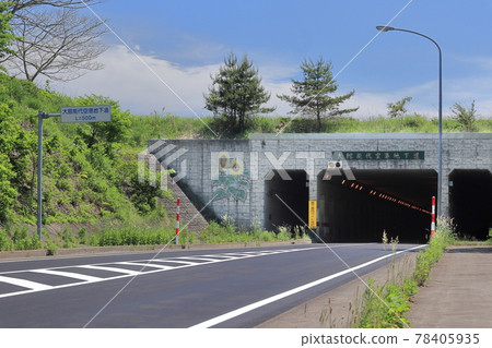 大館能代機場地下通道 78405935