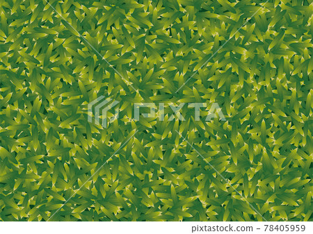 Dense bamboo leaf texture 78405959