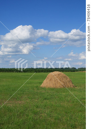 Haystacks on a green meadow under a blue sky. Picturesque pastoral landscape. Farmland on a clear summer day. White cumulus clouds in the blue sky. Haystacks on a green meadow under a blue sky. Picturesque pastoral landscape. Farmland on a clear summer day. White cumulus clouds in the blue sky. 78406416
