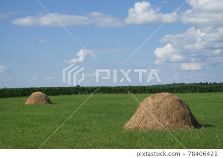 Haystacks on a green meadow under a blue sky. Picturesque pastoral landscape. Farmland on a clear summer day. White cumulus clouds in the blue sky. Haystacks on a green meadow under a blue sky. Picturesque pastoral landscape. Farmland on a clear summer day. White cumulus clouds in the blue sky. 78406421