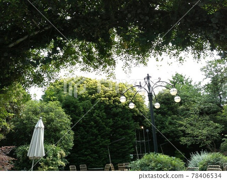 2021 年 5 月拍攝的橫濱山手檔案館花園後的花園,清新的綠色背景 2021 年 5 月拍攝的橫濱山手檔案館花園後的花園,清新的綠色背景 78406534