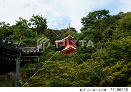 Summer Imakumano Kannonji Temple, a medical cathedral built on the mountainside Summer Imakumano Kannonji Temple, a medical cathedral built on the mountainside 78406666