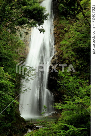 Harafudo Falls in early summer 78407022