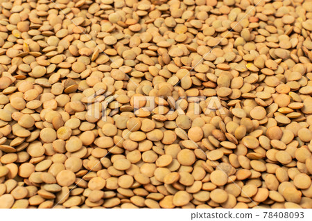 Raw Dry Lentils, Lentil Grains, Dal, Daal, Dhal, Masoor 78408093