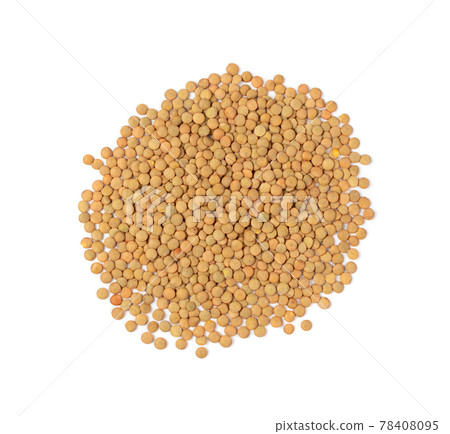 Raw Dry Lentils, Lentil Grains, Dal, Daal, Dhal, Masoor Raw Dry Lentils, Lentil Grains, Dal, Daal, Dhal, Masoor 78408095