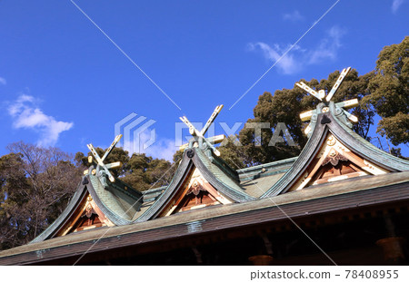 Nishinomiya City, the hall of worship at Nishinomiya Shrine 78408955
