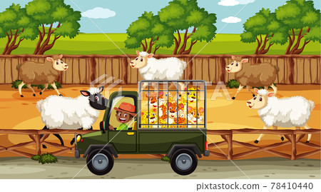 Safari scenes with many sheeps and kids cartoon character Safari scenes with many sheeps and kids cartoon character 78410440