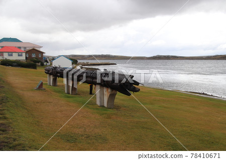 斯坦利景觀 78410671