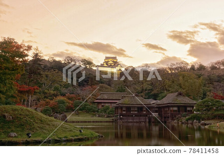 National treasure Hikone Castle and autumn Genkyuen Garden at dusk 78411458
