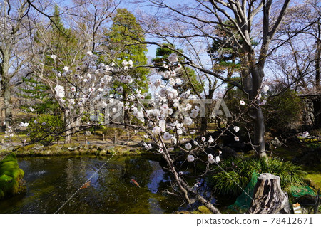 Komoro Castle Ruins and Nostalgia Garden in the spring of Anajiro, which was territorialized by Kansuke Yamamoto and others at the behest of Shingen Takeda during the Warring States period. Komoro Castle Ruins and Nostalgia Garden in the spring of Anajiro, which was territorialized by Kansuke Yamamoto and others at the behest of Shingen Takeda during the Warring States period. 78412671