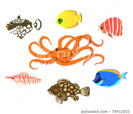 Colorful sea fish 2 78412831