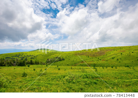 hills and meadows on the mountain plateau. wonderful green summer landscape. clouds on the sky, calm weather hills and meadows on the mountain plateau. wonderful green summer landscape. clouds on the sky, calm weather 78413448