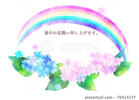Summer sympathy Hydrangea rainy season 78414137