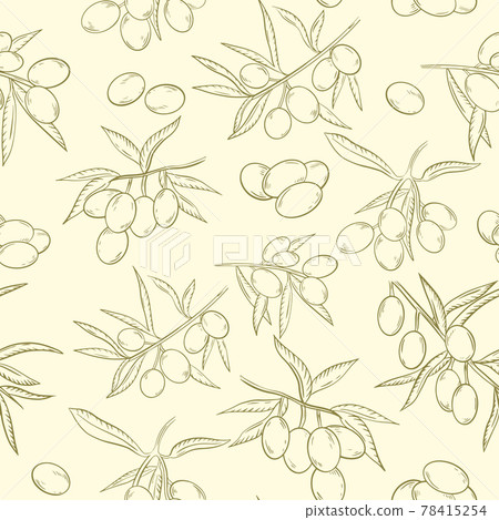 Seamless pattern with olives. Vector. Hand sketch olive. Background with fruits of oilseeds, Agriculture. 78415254