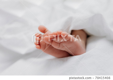 Baby's feet under a white blanket Baby's feet under a white blanket 78415408