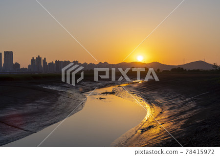 Siheung Tidal Flat Ecological Park 78415972