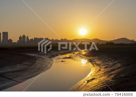 Siheung Tidal Flat Ecological Park 78416008