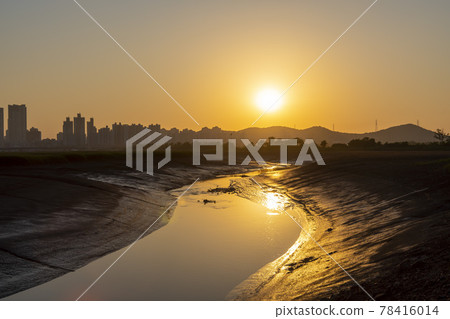 始興市潮灘生態公園 始興市潮灘生態公園 78416014