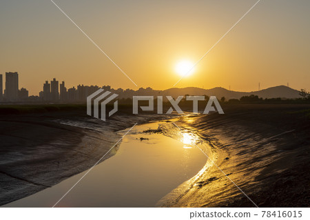 始興市潮灘生態公園 始興市潮灘生態公園 78416015