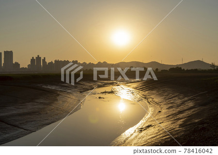 Siheung Tidal Flat Ecological Park 78416042