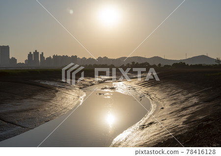 始興市潮灘生態公園 78416128