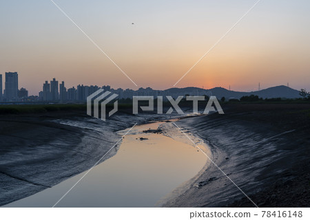 Siheung Tidal Flat Ecological Park 78416148