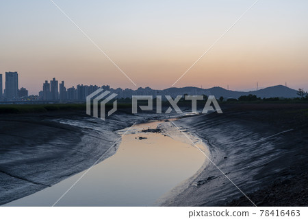 Siheung Tidal Flat Ecological Park Siheung Tidal Flat Ecological Park 78416463