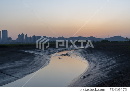 Siheung Tidal Flat Ecological Park 78416473