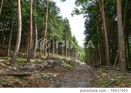 Shosuke-ken縣Aoyagi通往Wataruwa森林公路 78417305