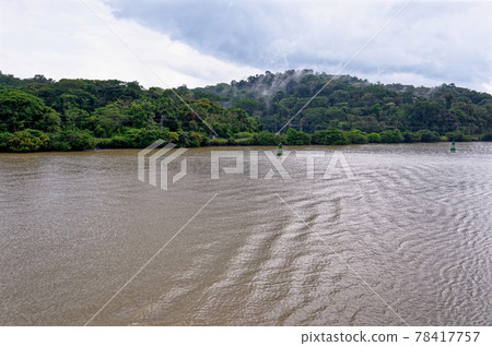Sailing in to Gatun Lake - Panama Canal Sailing in to Gatun Lake - Panama Canal 78417757