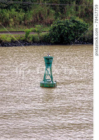 Sailing in to Gatun Lake - Panama Canal 78417759