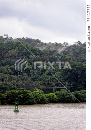 Sailing in to Gatun Lake - Panama Canal Sailing in to Gatun Lake - Panama Canal 78417775