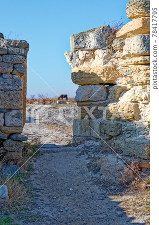 Roman ruins of Histria citadel - Romania Roman ruins of Histria citadel - Romania 78417795