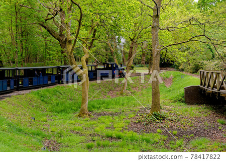 Miniature steam train at Exbury gardens - England UK Miniature steam train at Exbury gardens - England UK 78417822