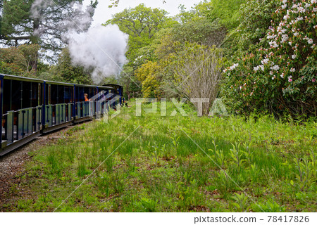 Miniature steam train at Exbury gardens - England UK Miniature steam train at Exbury gardens - England UK 78417826
