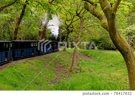 Miniature steam train at Exbury gardens - England UK Miniature steam train at Exbury gardens - England UK 78417832