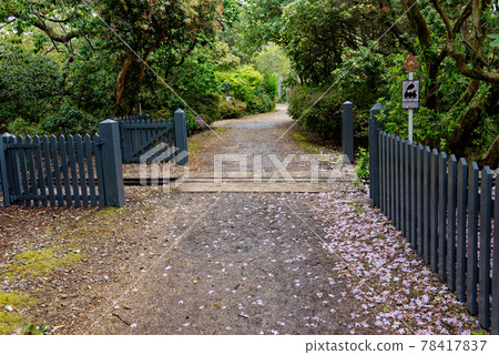 Exbury Gardens Railway - Hampshire, England Exbury Gardens Railway - Hampshire, England 78417837