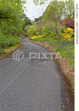 Spring in the grounds of Exbury gardens Spring in the grounds of Exbury gardens 78417844
