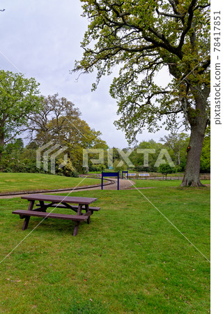 Spring in the grounds of Exbury gardens Spring in the grounds of Exbury gardens 78417851