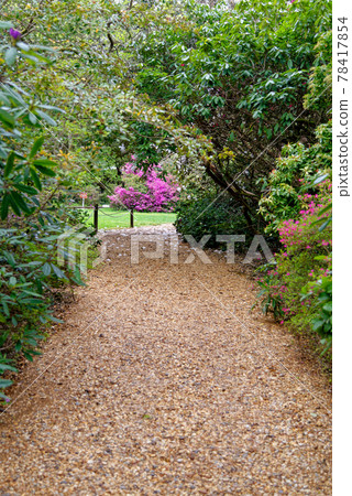 Spring in the grounds of Exbury gardens Spring in the grounds of Exbury gardens 78417854