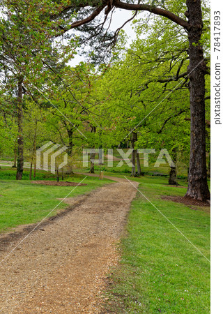 Spring in the grounds of Exbury gardens Spring in the grounds of Exbury gardens 78417893